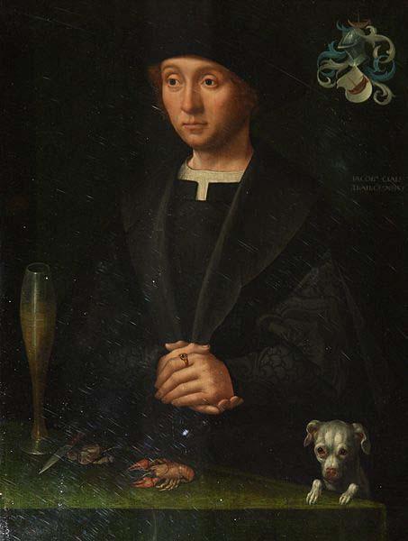 Jacob Claesz van Utrecht Member of the Alardes Family oil painting image